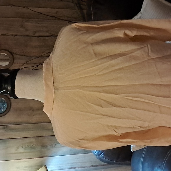 Antonio Melani Silk Long Sleeve Career Button Down Blouse Shirt Top Size L - Picture 5 of 7